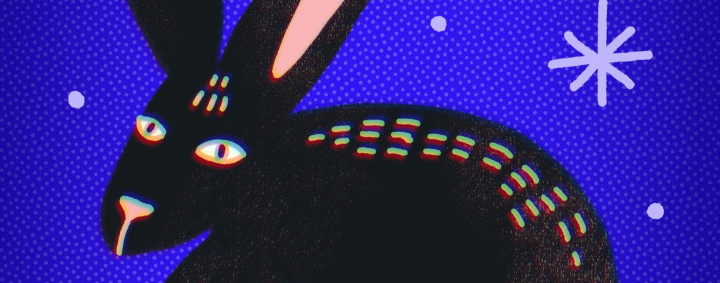 открытка «Черный водяной кролик»