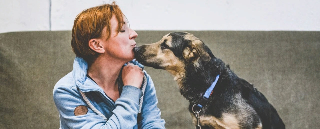 Ольга Орлова: Фундамент для Центра собак с трудной судьбой