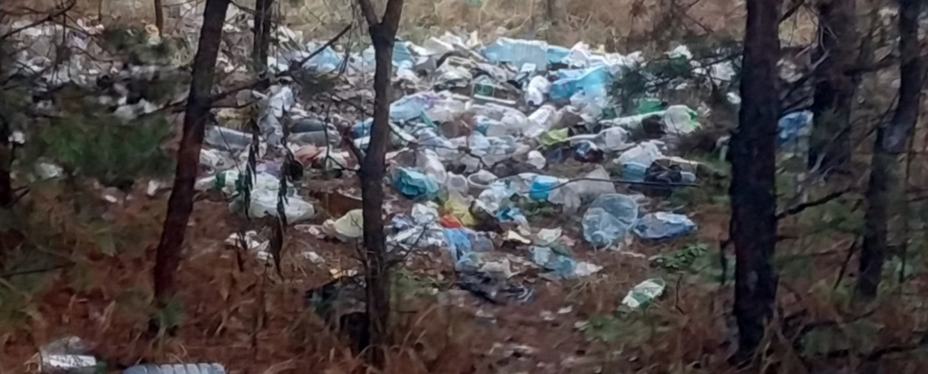 Юрий Глуховский: Поставить контейнеры для мусора