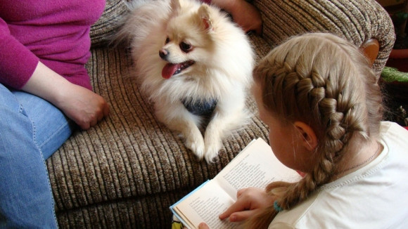 Светлана Ильина: Собаки-друзья, дарящие счастье и радость